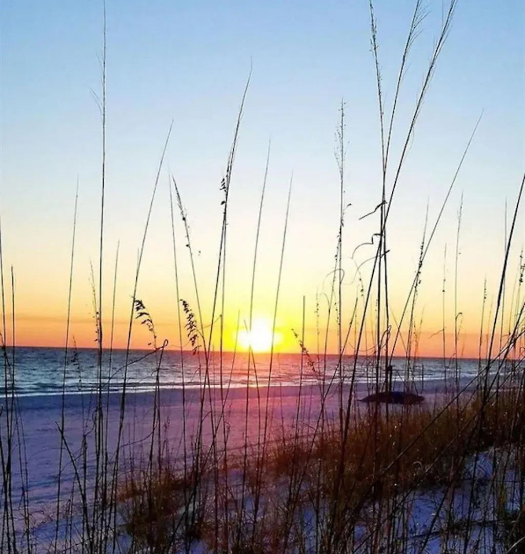 Calypso 202E Paradise At Calypso 4 Chairs Daily Gulf Front Panama City Beach 0*,  United States