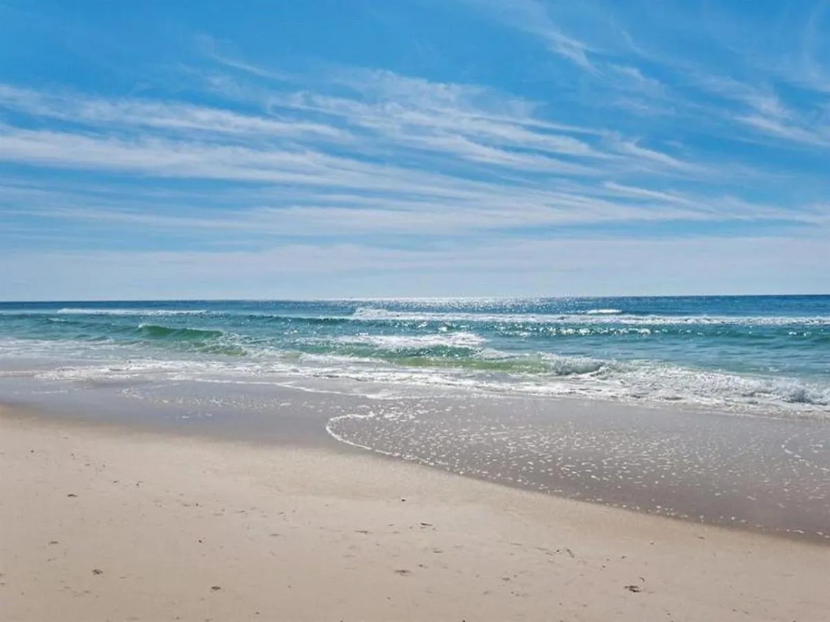 Apartment Calypso 202E Paradise At Calypso 4 Chairs Daily Gulf Front Panama City Beach