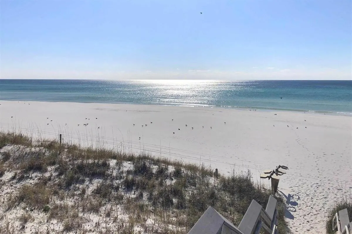 Apartment Calypso 202E Paradise At Calypso 4 Chairs Daily Gulf Front Panama City Beach United States